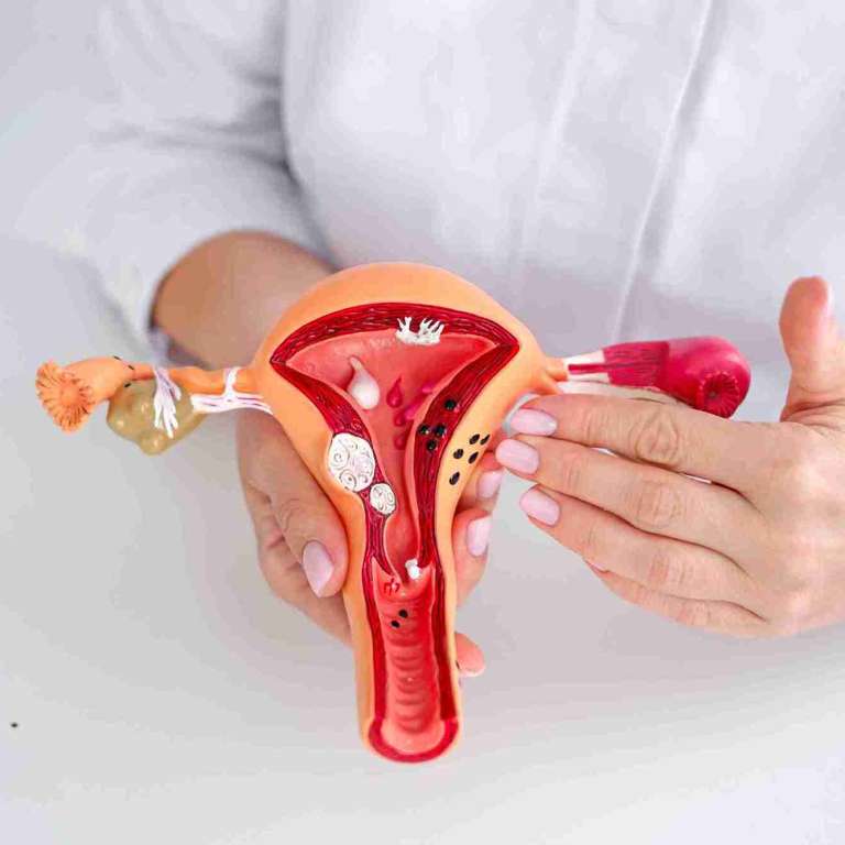 What Your Body Tells You About Fertility Through Cervical Mucus