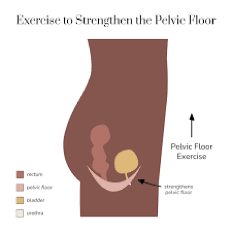 Pelvic Floor Health After Childbirth